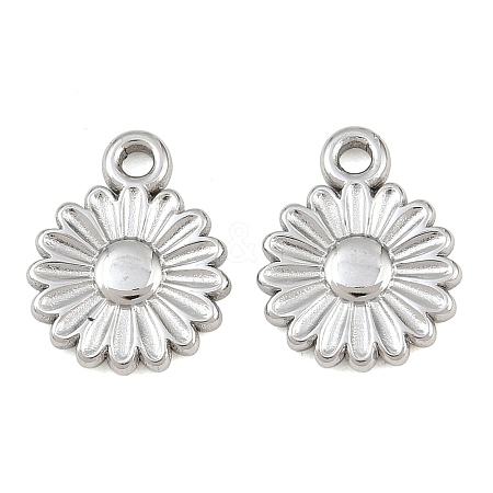 304 Stainless Steel Charms SA-CBA1839-13P-1