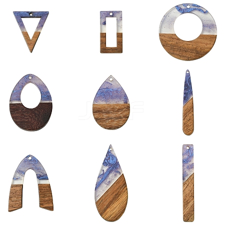 18Pcs 9 Styles Transparent Resin & Walnut Wood Pendants RESI-FS0001-78-1