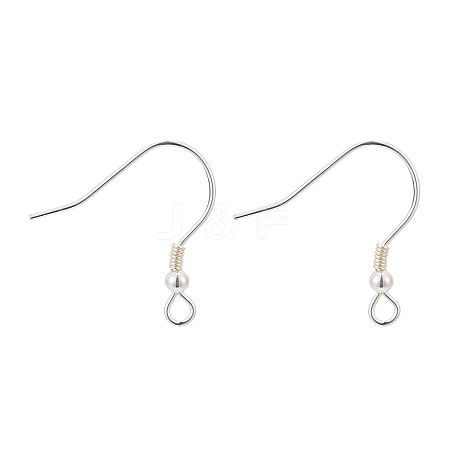 925 Sterling Silver Earring Hooks STER-T002-166S-1