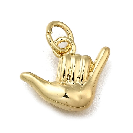Brass Pendants ZIRC-I070-019G-1