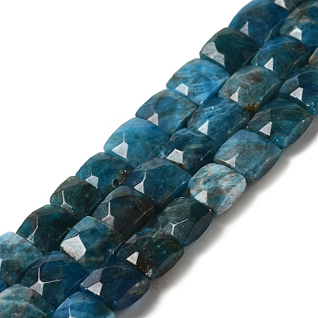 Natural Apatite Beads Strands G-C109-A13-02-1