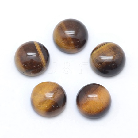 Natural Tiger Eye Cabochons G-E492-H-13-1