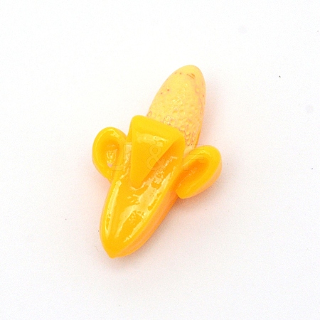 Resin Beads RESI-CJC0001-89-1