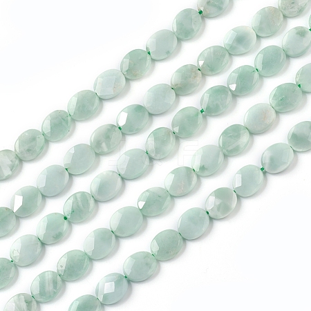 Natural Glass Beads Strands G-I271-B08-8x10mm-1