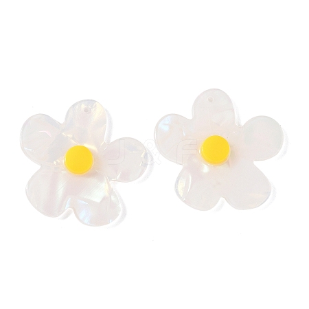 Opaque Acrylic Pendants FIND-K024-02A-1