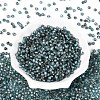 Picasso Baking Paint Glass Seed Beads SEED-N007-37G-2