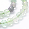 Natural Fluorite Beads Strands G-P335-19-8mm-3