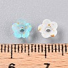 Frosted Transparent Acrylic Beads LS-OACR-N137-72I-4