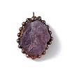 Natural Amethyst Pendants G-F739-10R-03-2