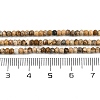 Natural Picture Jasper Beads Strands G-P572-A01-01-5