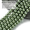 Eco-Friendly  Dyed Glass Pearl Round Bead Strands HY-A002-8mm-RB025-3