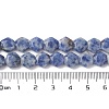 Natural Blue Spot Jasper Beads Strands G-K359-C17-01-5