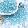 6/0 Glass Seed Beads SEED-T006-04F-03-1