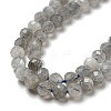 Faceted Round Natural Labradorite Bead Strands LS-G-I156-03-4mm-5