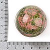 Natural Unakite Sphere Beads G-I367-07A-2