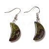 Natural Mixed Gemstone Crescent Moon Dangle Earrings EJEW-E296-02P-2