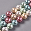 Electroplated Shell Beads Strands BSHE-G021-01E-1