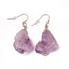 Natural Amethyst Dangle Earrings EJEW-F228-A05-2