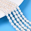 Natural Cultured Freshwater Pearl Beads Strands PEAR-T006-19A-1