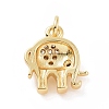 Brass Micro Pave Cubic Zirconia Charms KK-C012-21G-2
