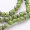 Natural Peridot Beads Strands G-N165-13-2