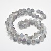 Frosted Electroplate Glass Shell Beads Strands EGLA-M002-B05-2