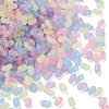 Luminous Transparent Acrylic Beads LACR-D009-01J-2