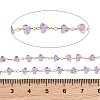 Glass & 304 Stainless Steel Beaded Chains SA-CBAD321-04D-3