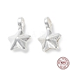 925 Sterling Silver Charms STER-E069-02S-1