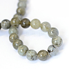 Natural Labradorite Round Bead Strands X-G-E334-4mm-19-3