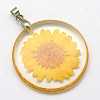 Alloy Resin Pendants LS-RESI-S321-06-1