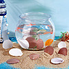 40Pcs Natural Shell for Aquarium Fish Tank Ornaments SHEL-PH0001-68-4