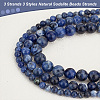 3 Strands 3 Styles Natural Sodalite Beads Strands G-OC0004-58-4