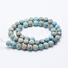 Natural Imperial Jasper Beads Strands X-G-K232-6mm-01D-2