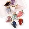 10Pcs 10 Style Natural Gemstone Pendants G-LS0002-14-3