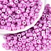 Baking Paint Pearlized Glass Seed Beads SEED-T008-03M-1