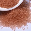 MIYUKI Delica Beads SEED-X0054-DB1411-1