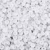 Transparent Frosted Colours Glass Seed Beads SEED-T007-12A-2