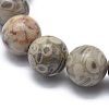 Natural Maifanite/Maifan Stone Bead Stretch Bracelets X-BJEW-K212-B-044-3