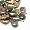 Teardrop Natural Indian Agate Pendants G-Q368-02-1