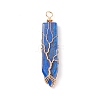 Natural Lapis Lazuli Big Pendants PALLOY-JF01557-01-1