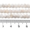 Natural Rainbow Moonstone Beads Strands X-G-G161-A01-03-5