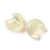 Baking Paint Transparent Glass Beads DGLA-F003-01H-2