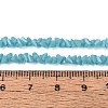 Opaque Glass Beads Strands GLAA-N019-3mm-18-2