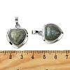 Natural Labradorite Pendants G-C114-03P-20-3