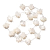 Natural White Shell Beads BSHE-Z008-09-1