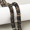 Natural Biotite Beads Strands G-B155-B04-4x10mm-1