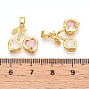 Brass Micro Pave Cubic Zirconia Charms X-KK-N254-227G-3