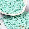 Baking Paint Glass Seed Beads SEED-B001-02A-14-1