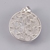 Natural Quartz Crystal Pendants G-P373-G05-3